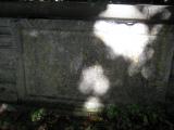 image of grave number 541825